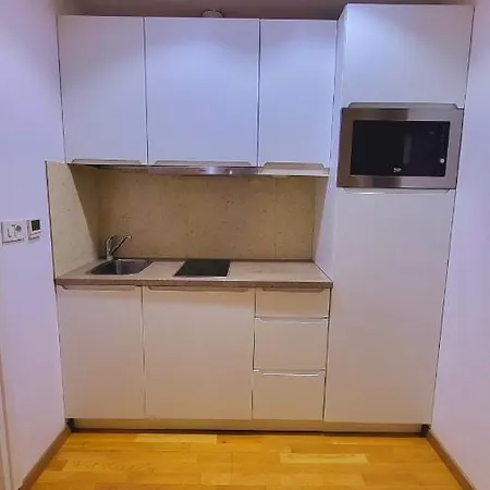 Imob Bibi House Calea Victoriei * Boekarest