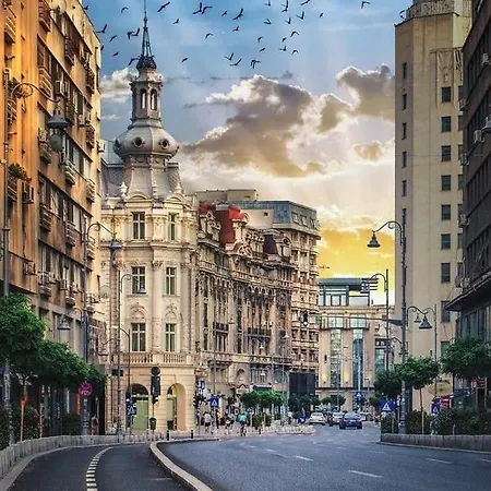 Imob Bibi House Calea Victoriei Апартаменты