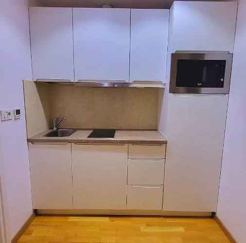 Imob Bibi House Calea Victoriei * Bucarest
