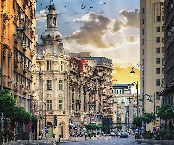 Imob Bibi House Calea Victoriei Apartament